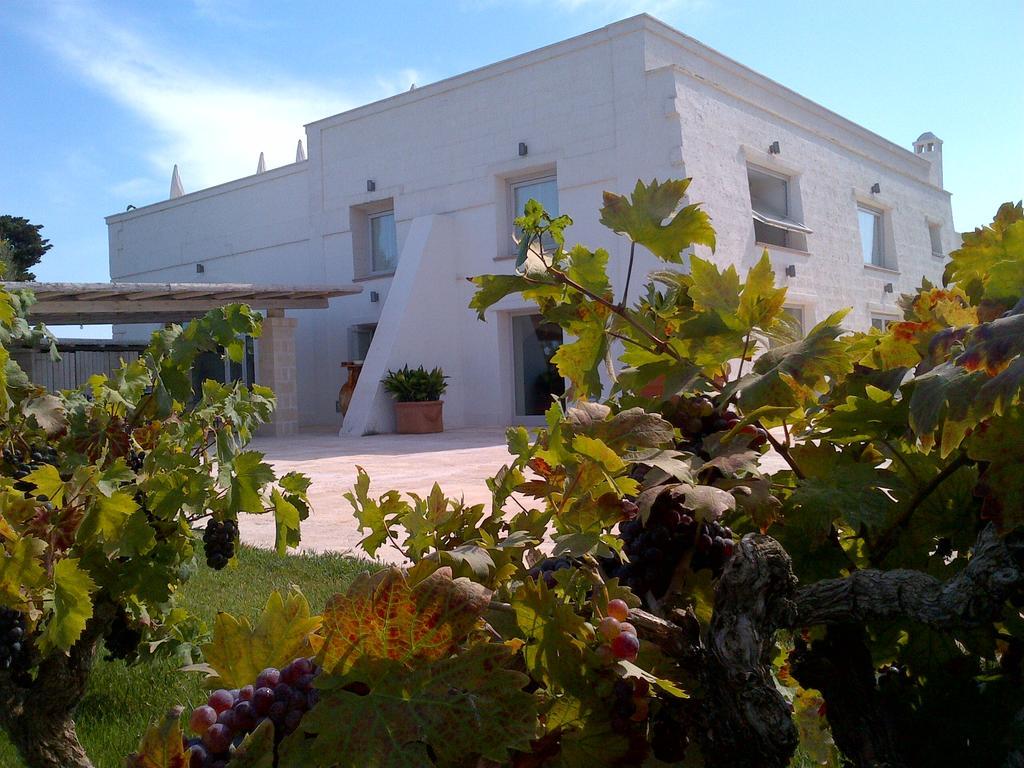 מונטלבאנו Masseria Ancella מראה חיצוני תמונה